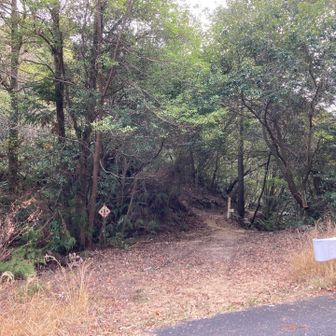 おかわりでまずは枡岩を目指します