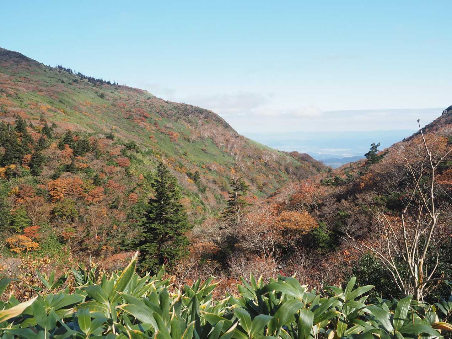 箕輪山斜面の紅葉
　向こうは福島市