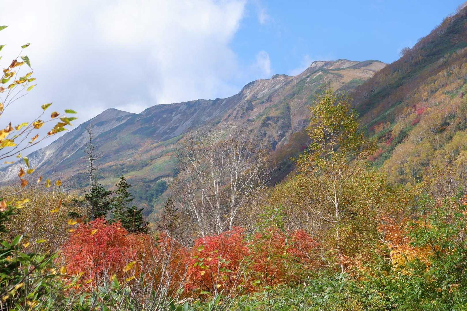 栂池ロープウェイ 自然園駅-栂池登山道入口-天狗原-乗鞍岳 往復コースの写真