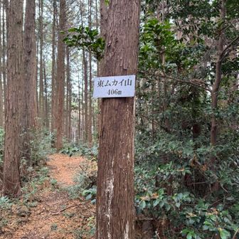 YAMAPなかったら絶対気が付かなかった