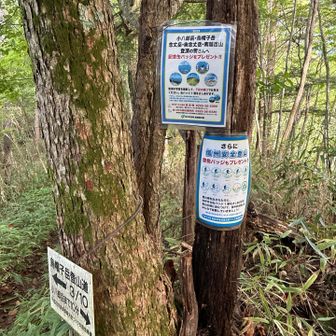 ココから烏帽子岳へ。