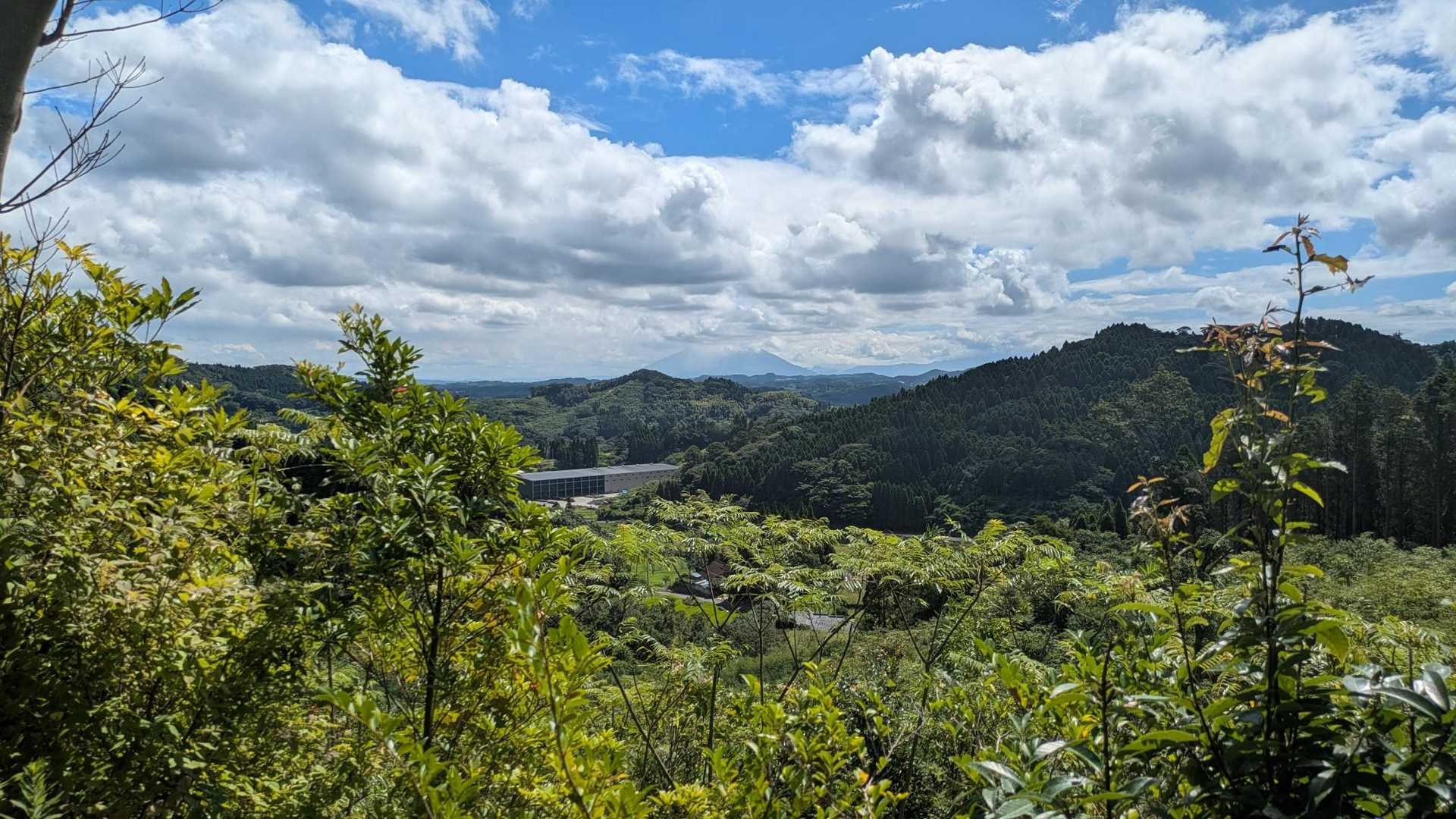 向江山登山口-向江山-日置岳 往復コースの写真