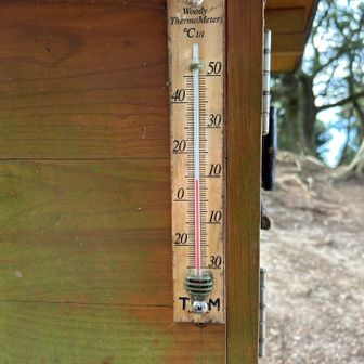 今日はとても暖かい🌡️9℃