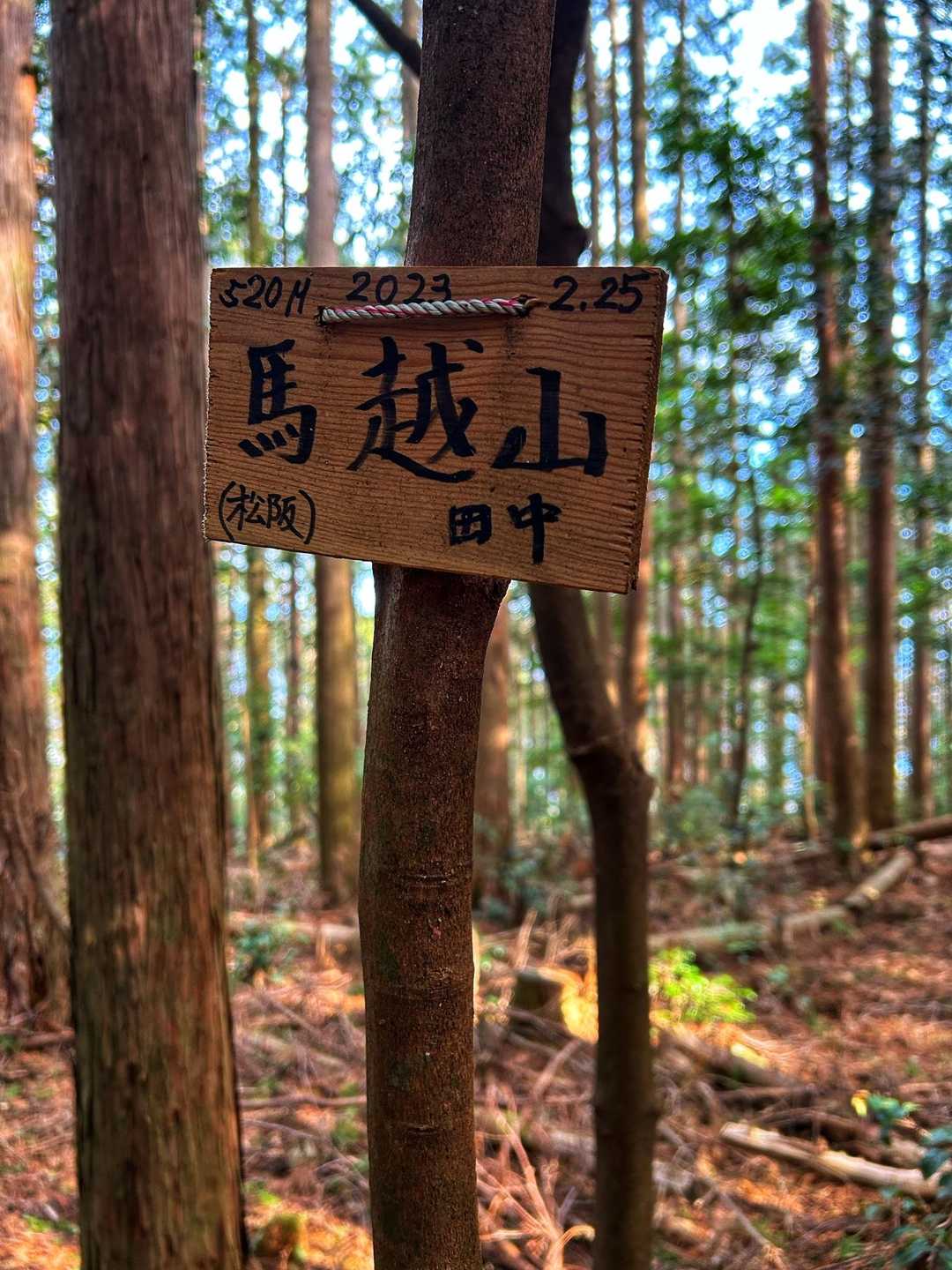 通り過ぎるところでした😂