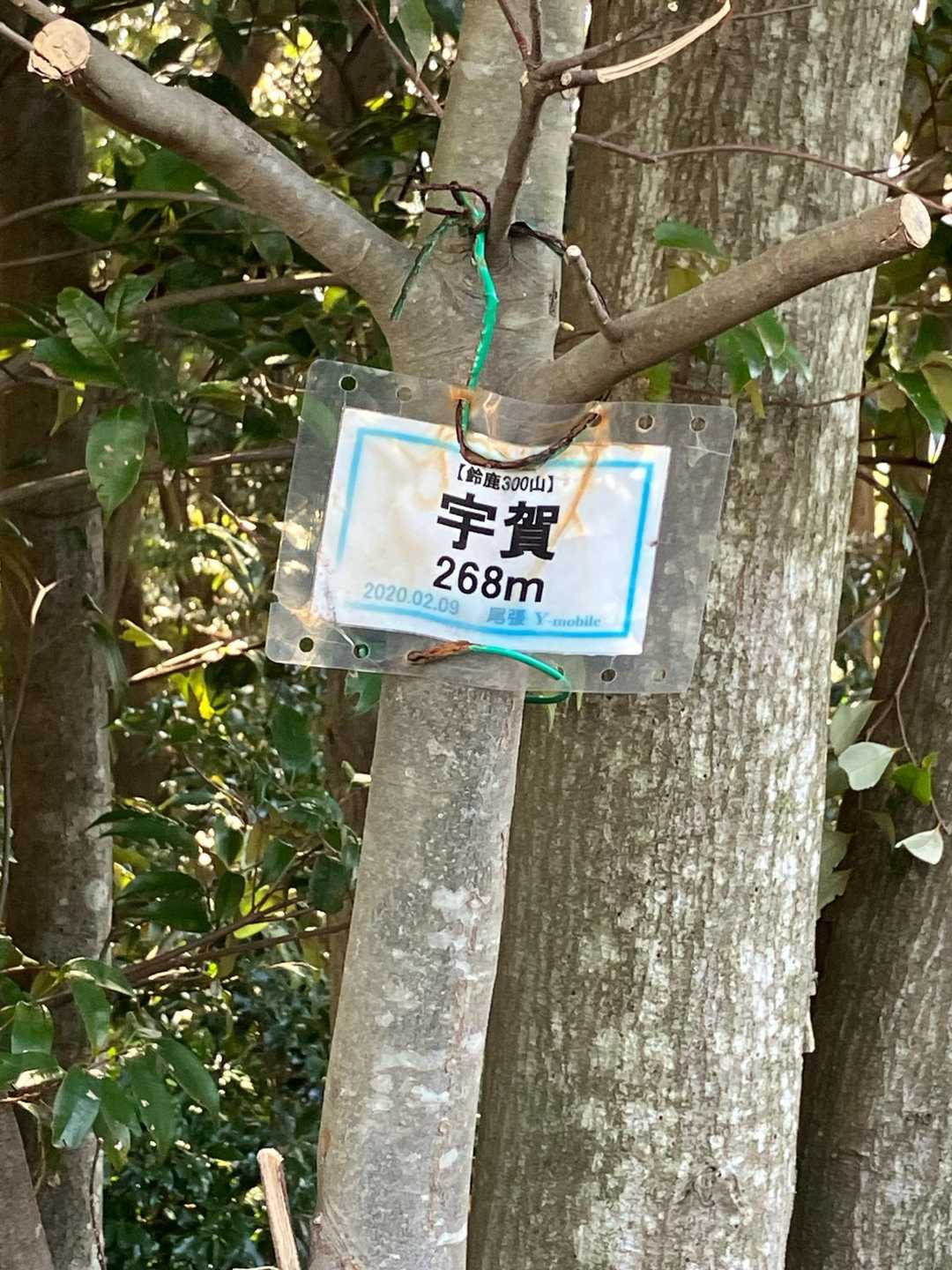 ウロウロして頂上見つける。