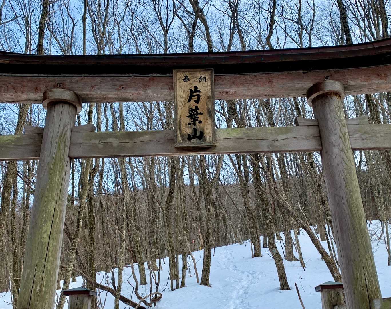 登山口まで下りて来ました。
ここから駐車場所までテクテク🚶‍♀️
