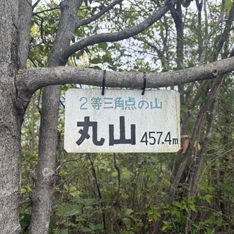 7⃣丸山山頂①