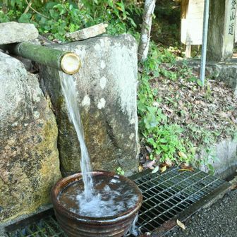 先日、写真撮り忘れてました。

センスの良い樋が最高にグッドです。
有難うございます。