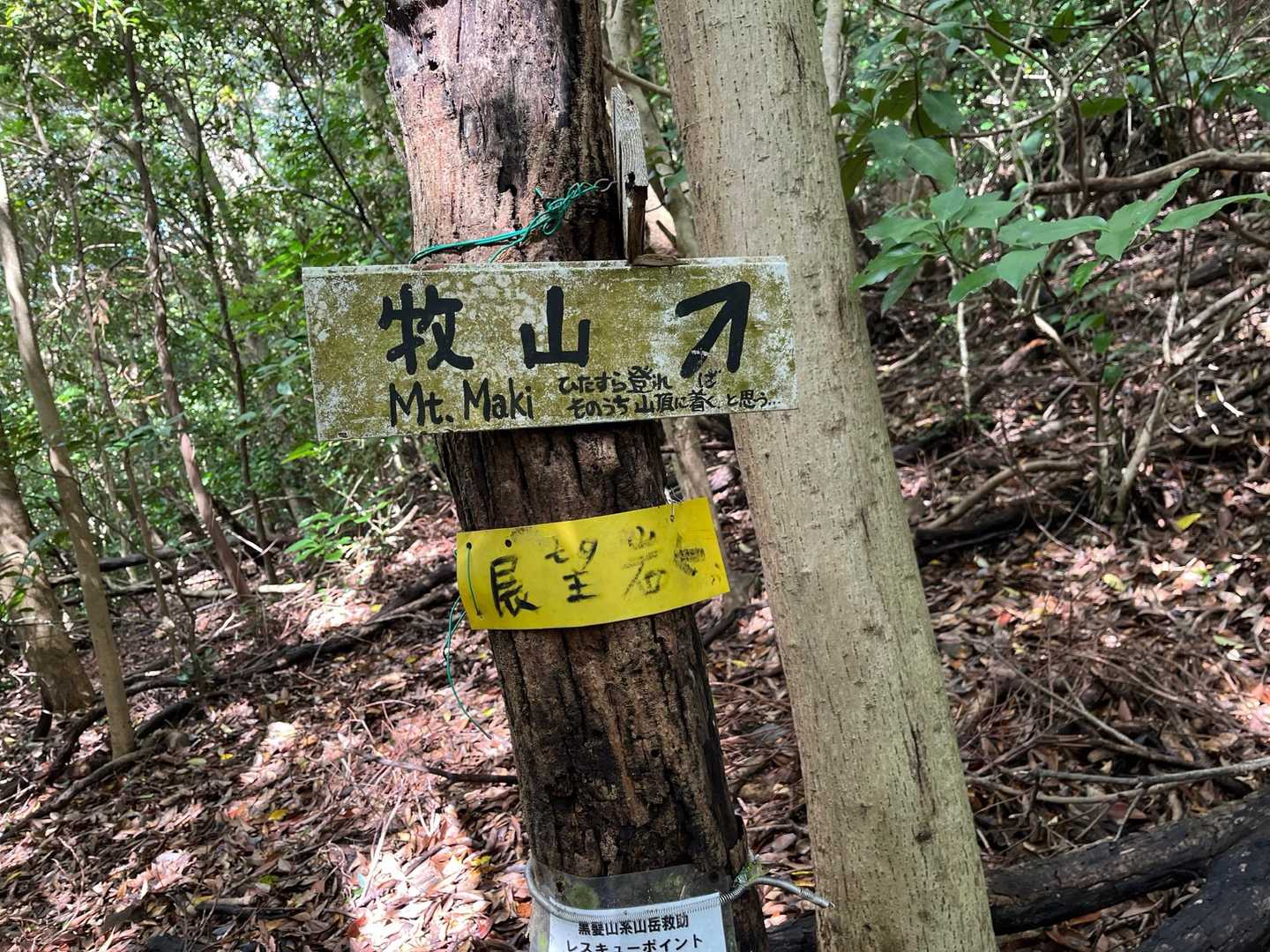 やっとここまで来た