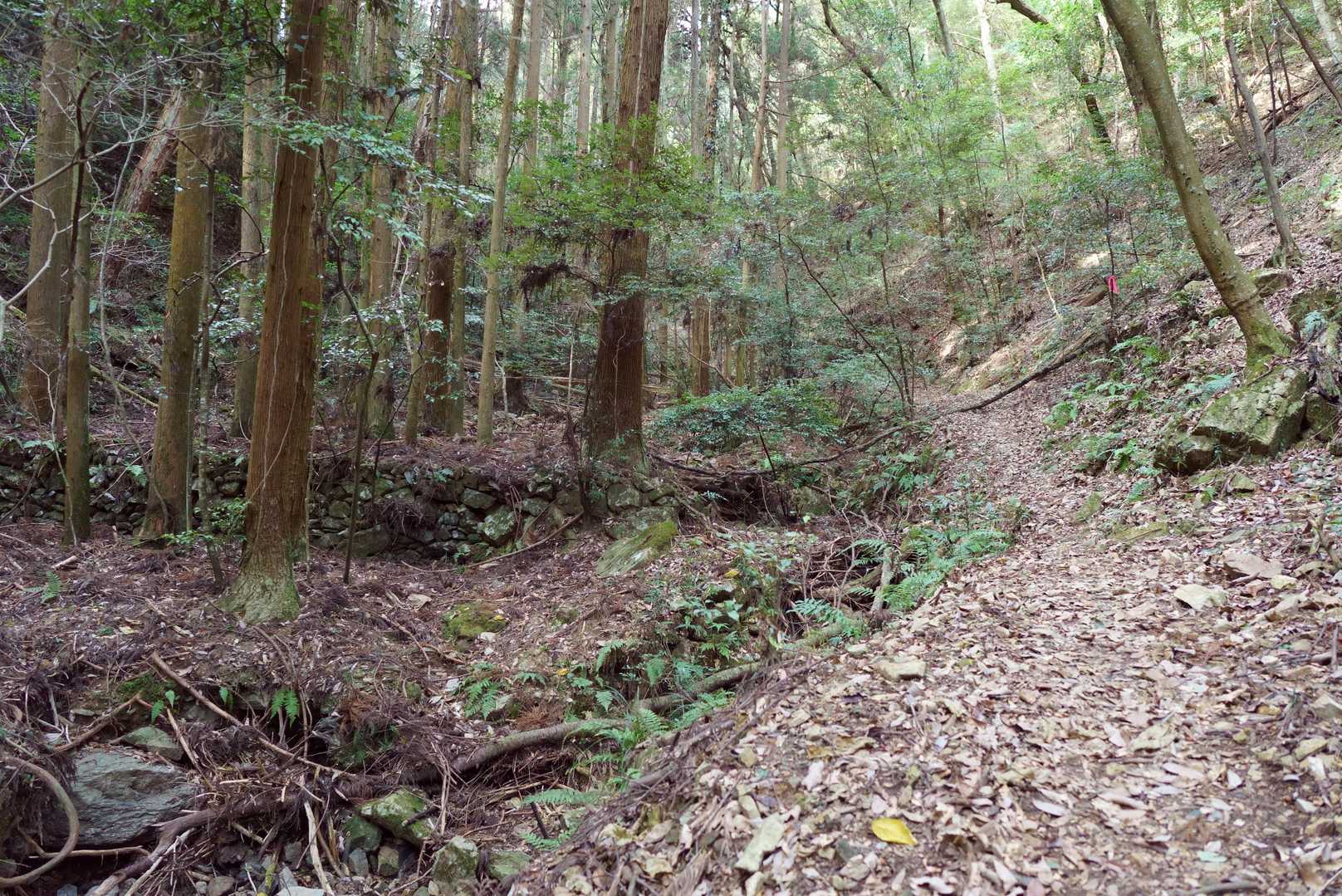 ピンクテープがあるので迷うことはありません😄