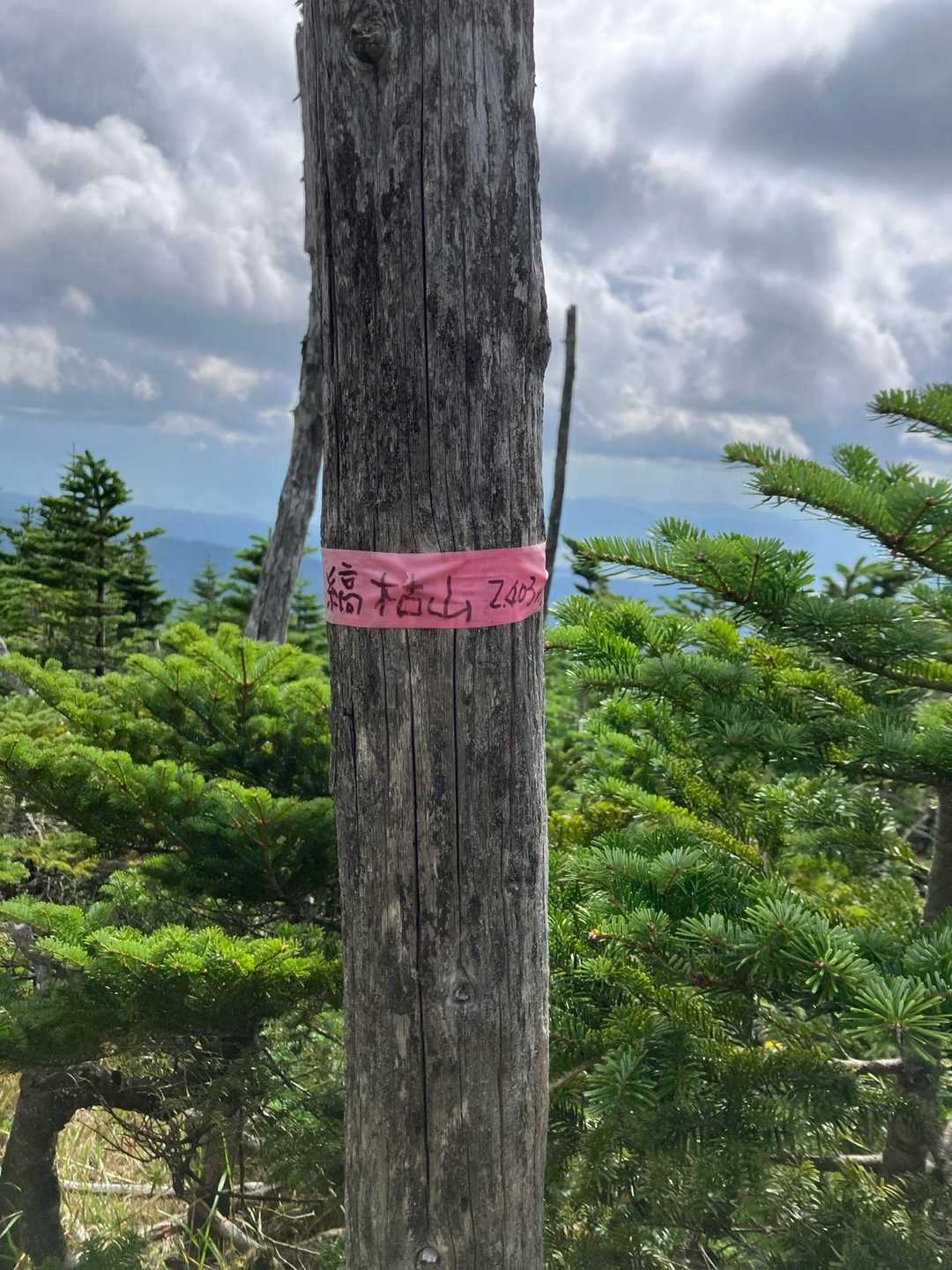 山頂を気付かずに通過😅
戻ってキョロキョロ👀
木にピンクテープ🩷ここ？