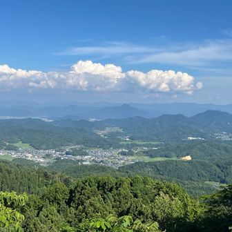 エボシ山山頂からの景色👀
富士山好きのスタッフさんが「富士山って見えるの〜」って言われたので、すかさず「越前富士の日野山が正面に」と説明しました😉