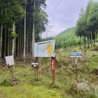 雲母三姉妹を先ず目指します。

雲母Ⅱ峰、雲母峰、雲母西峰の３峰です。

「雲母」は「きらら」と読みます。