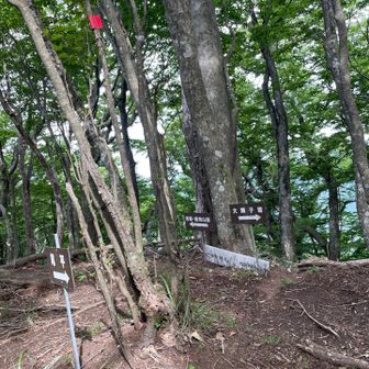 稜線に出て看板を見た時の嬉しさ