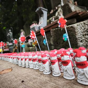 カワイイお地蔵さん、親指くらい
🔴🔴🔴🔴🔴