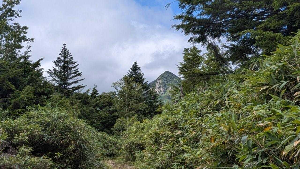 笠ヶ岳見えた✨
