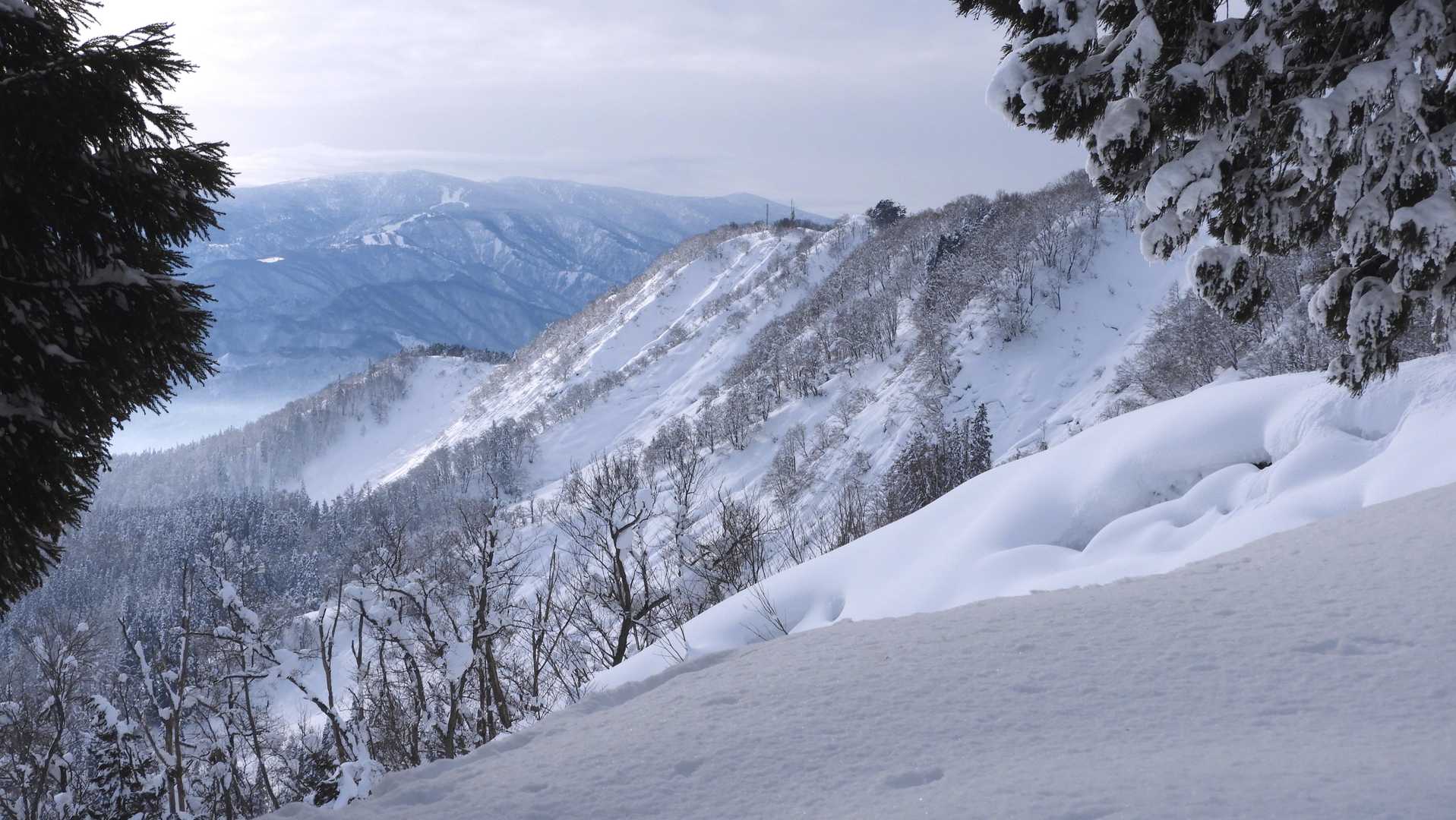 やっと愛宕山到着。今日はここまで久しぶりのフルラッセル。ヘロヘロになりました。