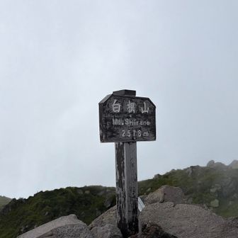 山頂到着