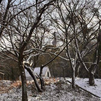 そういえば、トイレがありました😅