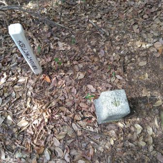 四等三角点、点名は牛石