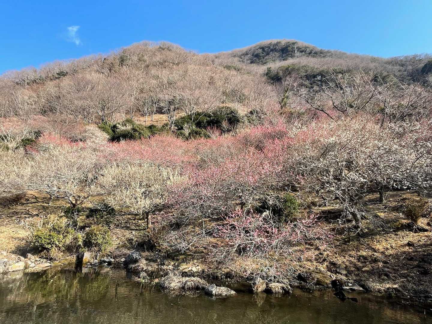 幕山登山口-幕山 周回コースの写真