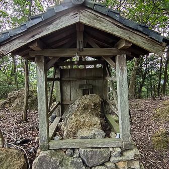 名を知らぬ祠です…山頂です‼️