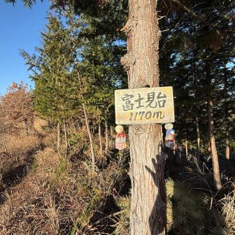 富士見台
てるてる坊主