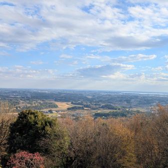 牛久大仏見えてました。森の小屋。トイレはスリッパに履き替えるスタイルです
