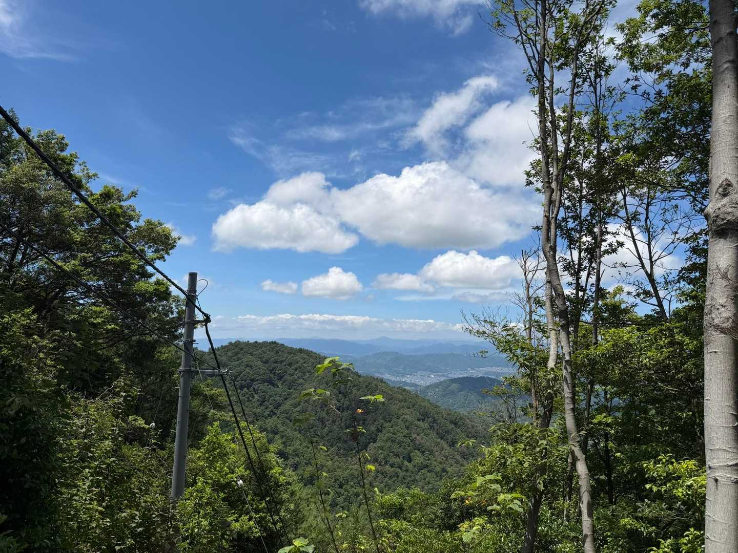 開けた場所から✨