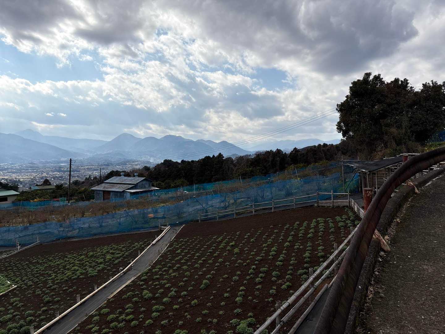 松田駅-松田山 往復コースの写真