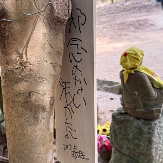 お地蔵様のところの札の裏側
『邪念のない活かた』

迷ってばかりの人生で、私は邪念だらけかもしれないなぁ😅