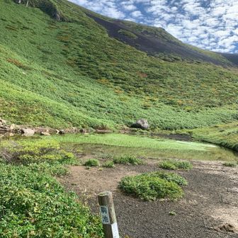 駒池に到着
案内によるとこの辺りをムーミン谷と呼ぶみたい