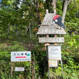 下山も写真撮らず無事下山