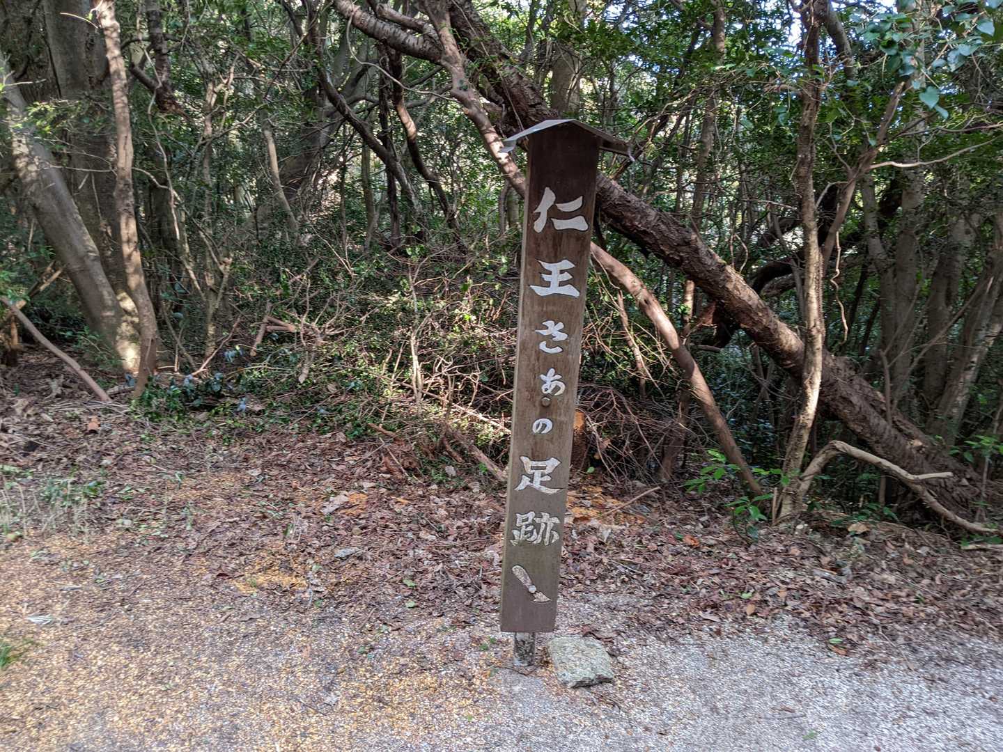 なんじゃろ🤔下山はココから