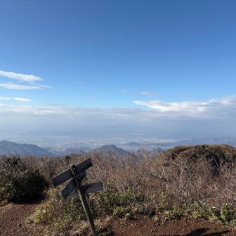 天童の街かな？