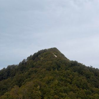 目指す頂上