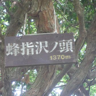 なるほど、ハチザスはこの漢字を書くのか。
これは最近設置された感じだね。