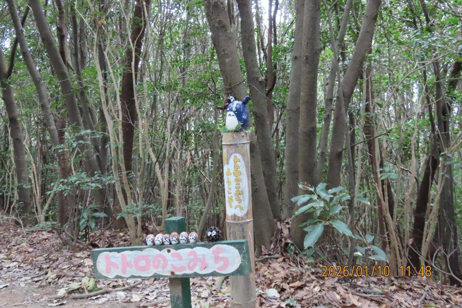 トトロさん 来たよ～💫 今年もよろしく