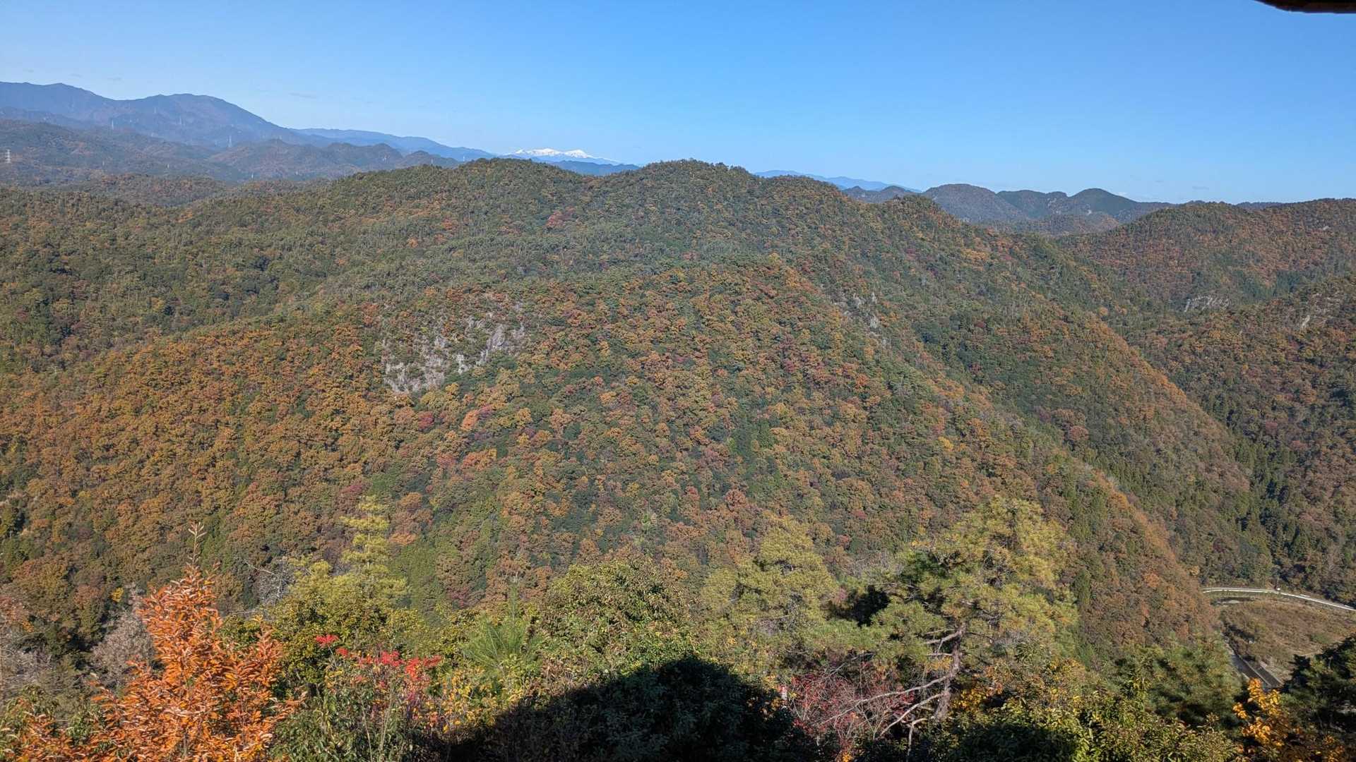 高木山 周回コースの写真