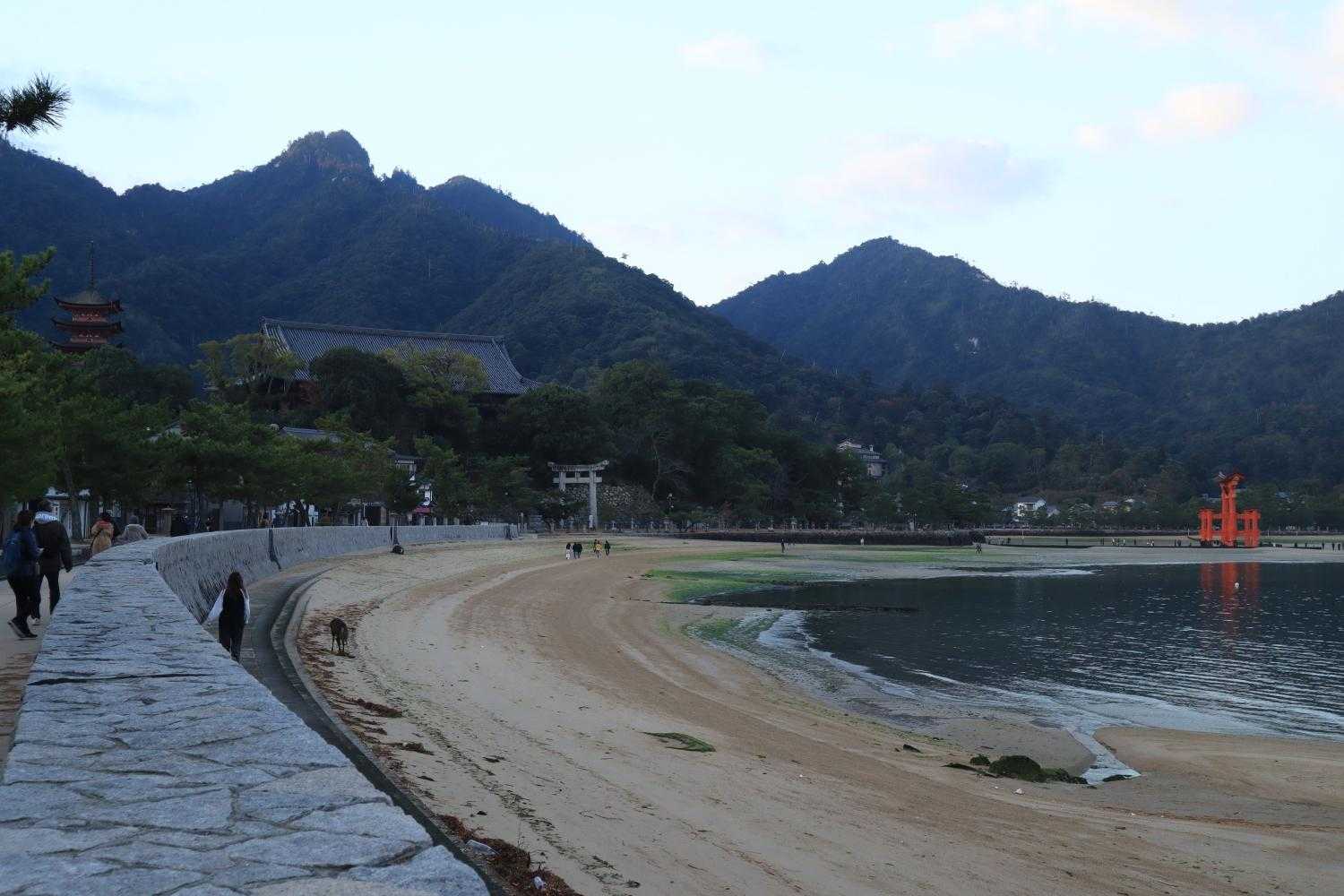 朝の砂浜は清々しいです
朝日に向かって走りたくなりますね！