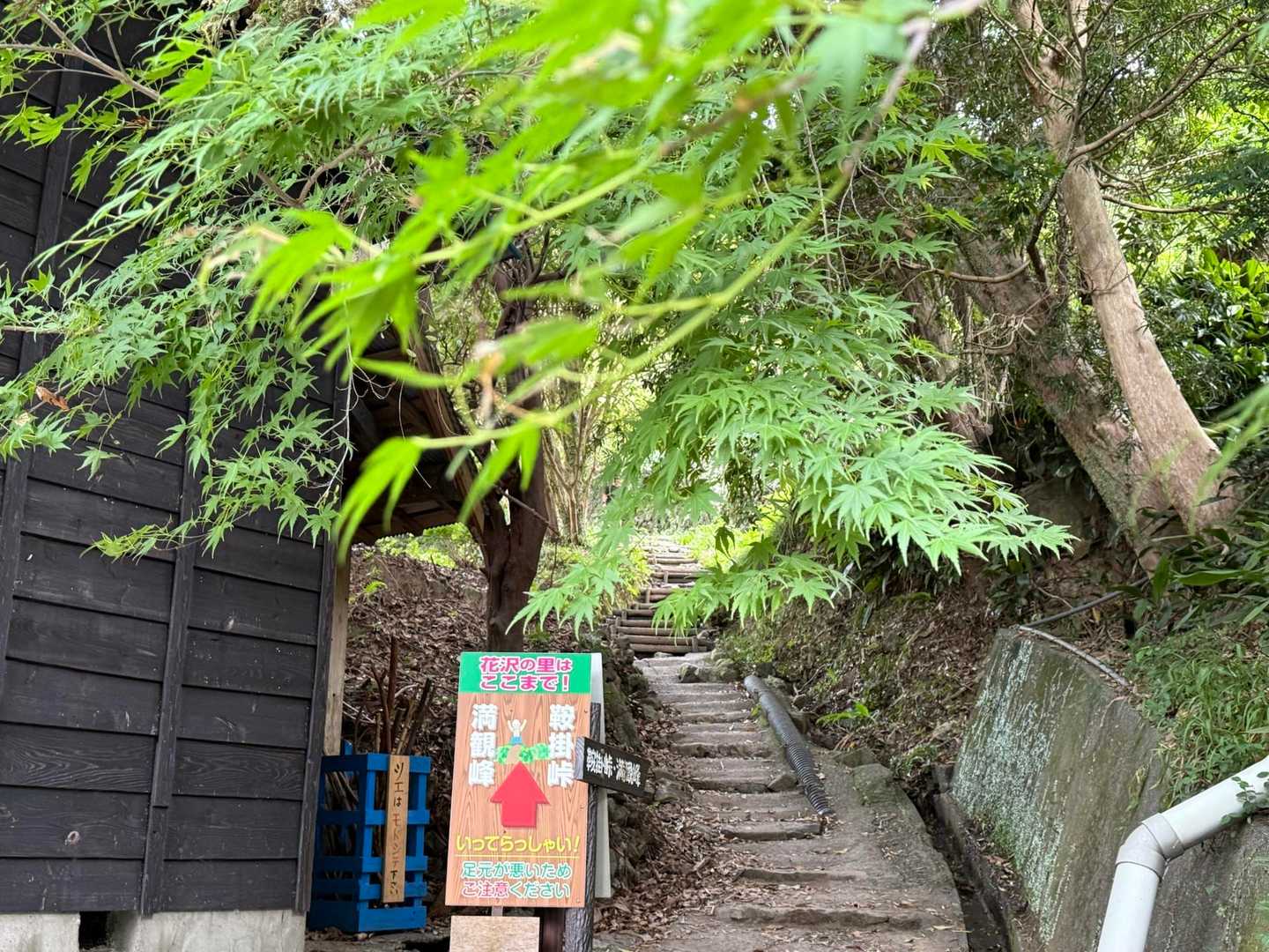 腰を痛めてからのリハビリ登山🥾

この不安な状況からのスタートは満観峰がベストと判断☺️
暑いので腰痛より熱中症が心配🥵