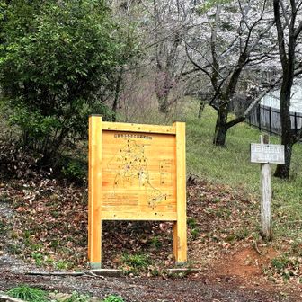 こっちの登山口から登る予定だったんだけどな、どこで間違えたのかな、と思ったら最初から間違えてた。