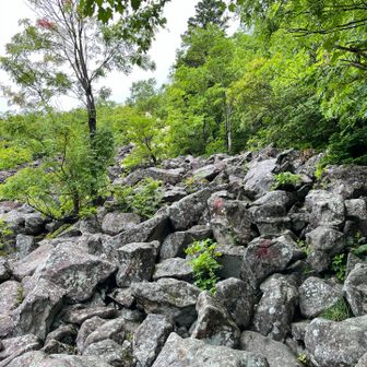登りより下山が心配