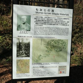 山頂は紅葉谷が紅葉山のようでした。