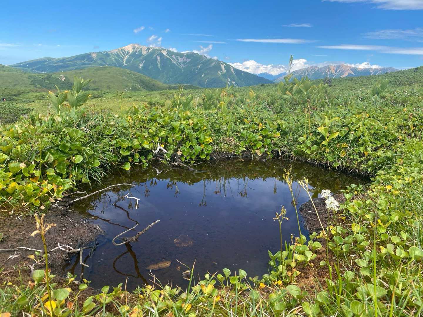池塘の向こうには薬師岳と赤牛岳。
この後の登山口までの長い帰り道はたしかにしんどかったですが、苦労の甲斐はある良い山行でした。