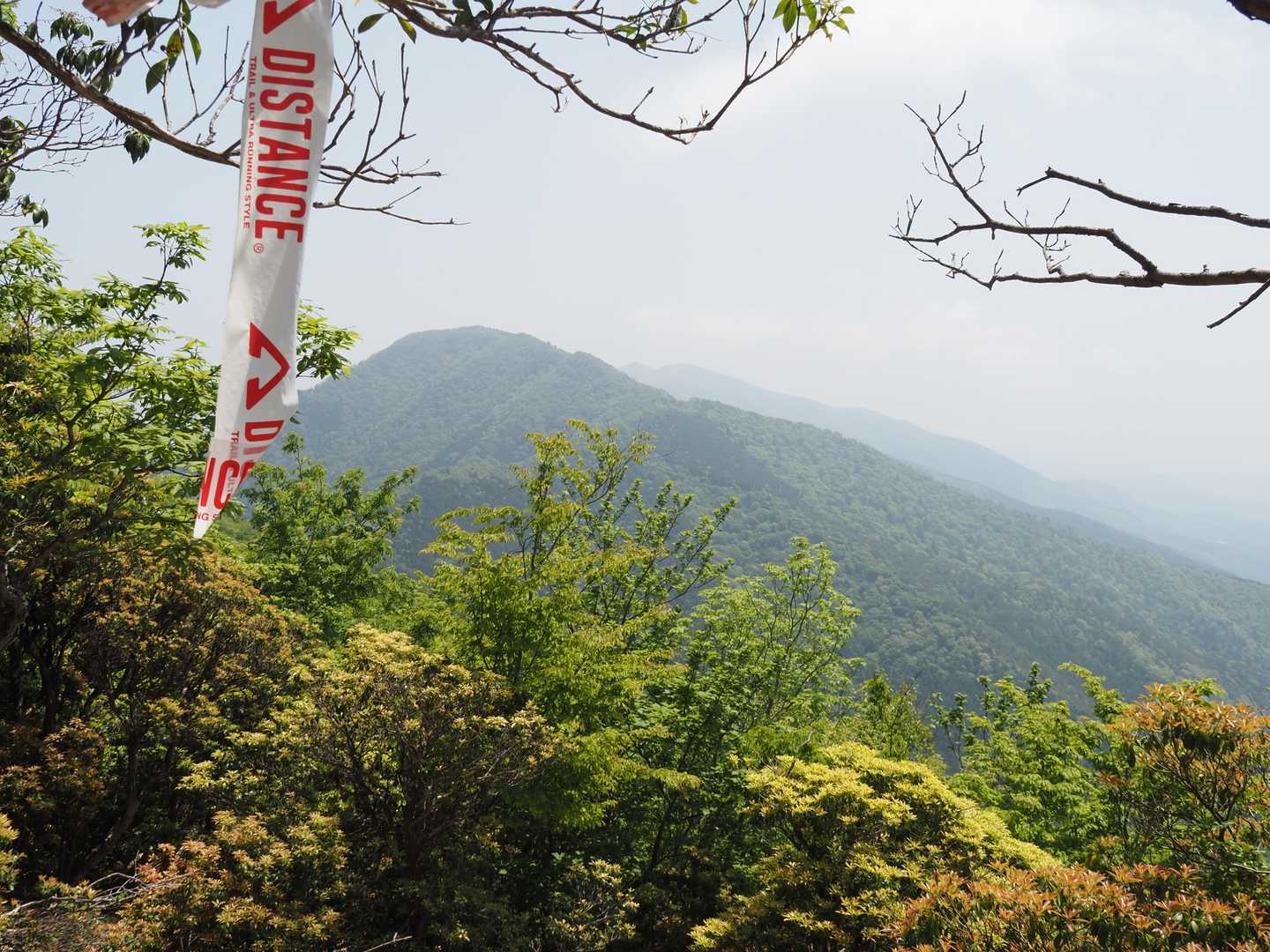 第三展望所まで戻って甲山へ向かいますが、那岐ピークスのコースになってるようで踏み跡もシッカリ付いて、何時になく歩き易くなっていました。🆗