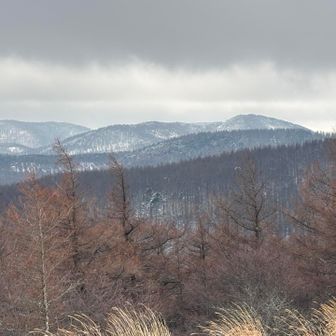 甲斐駒ヶ岳が、あるはず🥹