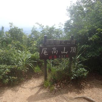 尾高山