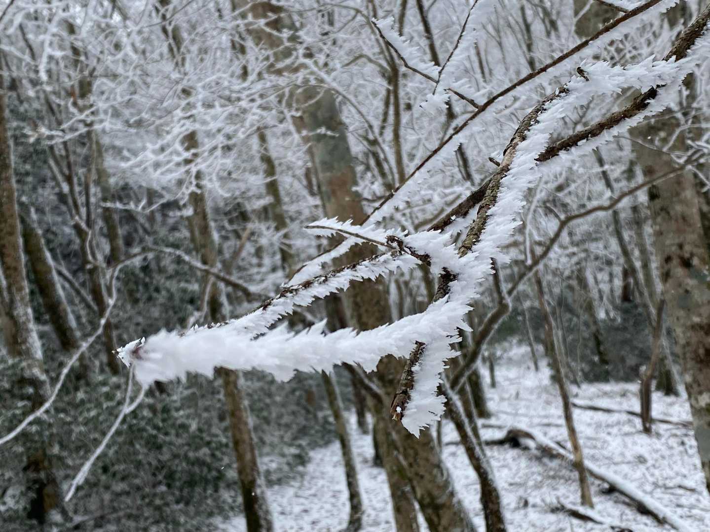元井谷登山口-仰烏帽子山 往復コースの写真