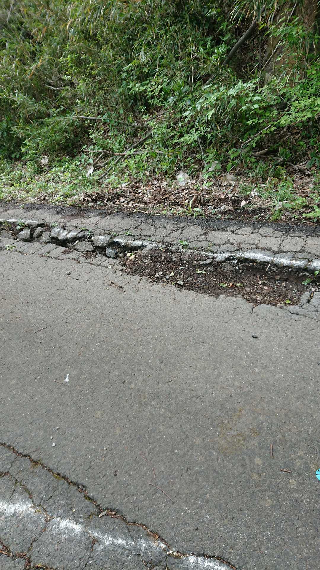 電波塔登山口への道路は、所々こんな感じになっていました。走行する時はご注意ください⚠️